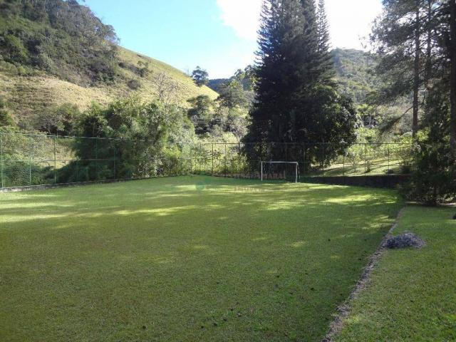 Sítio rural à venda, Córrego das Pedras, Teresópolis. - Foto 19