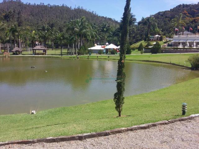 Terreno residencial à venda, Vargem Grande, Teresópolis. - Foto 9