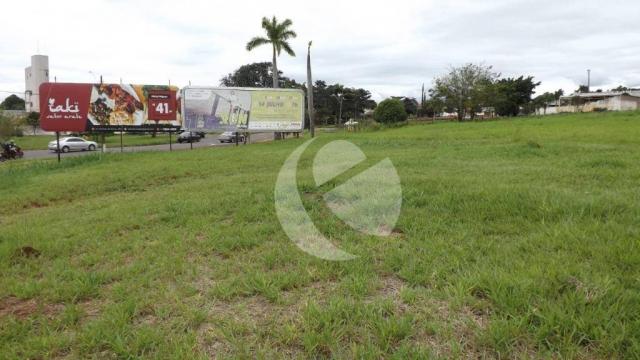 Terreno para alugar, 18000m² - Jardim São Jorge - Londrina/PR - Foto 3