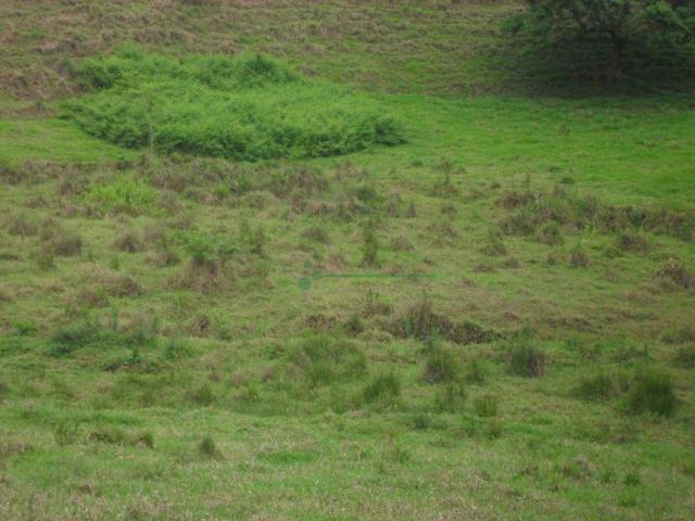 Área Venda Nova - Foto 6