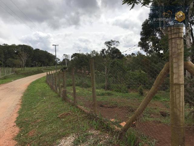 Chácara à venda, proximo a Igreja do Rosário em Colombo - PR - Foto 17