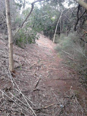 Terreno residencial à venda, Fazenda Boa Fé, Teresópolis - TE0063. - Foto 4