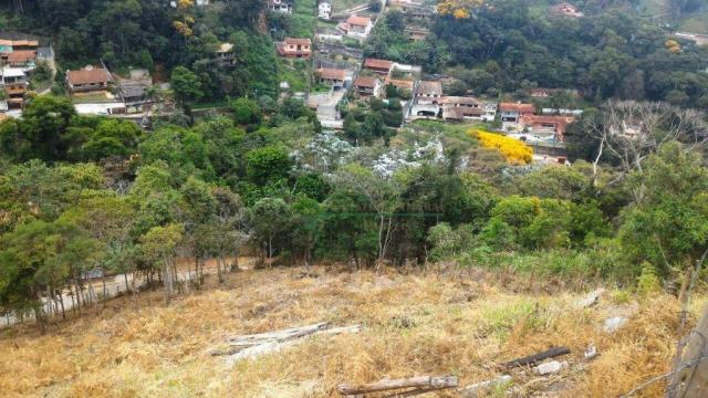 Terreno residencial à venda, Quinta da Barra, Teresópolis. - Foto 2