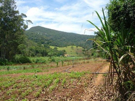 Fazenda rural à venda, Serra do Capim, Teresópolis. - Foto 19