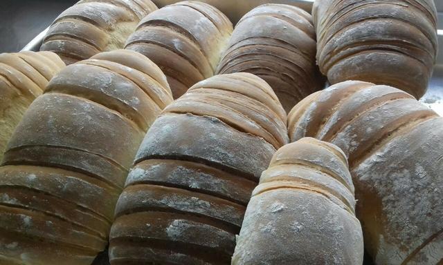 Revenda Pães Caseiros Otimos Ganhos - Foto 2