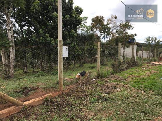 Chácara à venda, proximo a Igreja do Rosário em Colombo - PR - Foto 19