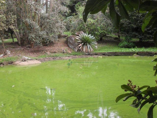 Sitio Teresópolis - Foto 15