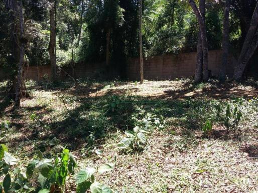 Terreno residencial à venda, Vargem Grande, Teresópolis. - Foto 7