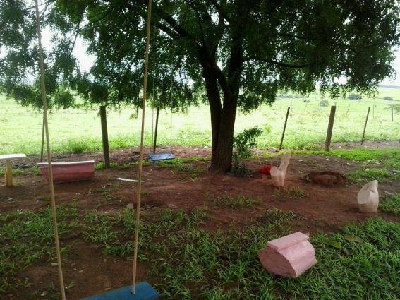 Chácara à venda, 20000 m² por R$ 350.000,00 - Zona Rural - Presidente Venceslau/SP - Foto 5