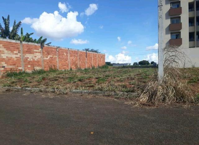 Loteamento Jardim Gramado ( Goiânia- Goiás) - Foto 6