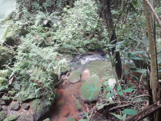 Sitio com 780.000 m² por R$ 1.150.000 - Ponte Nova - Teresópolis/RJ - Foto 20