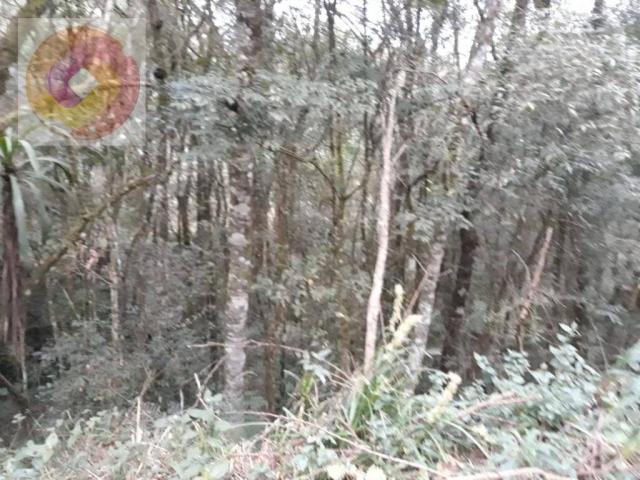 Chácara à venda, 23000 m² por R$ 180.000 - Palmerinha - Campina Grande do Sul/PR - Foto 2