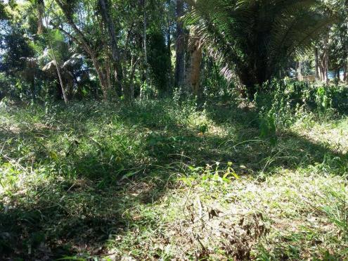 Terreno residencial à venda, Vargem Grande, Teresópolis. - Foto 14