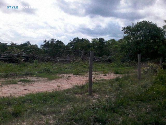 Chácara na Estrada de Cáceres à venda, 200000 m² por R$ 150.000 - Zona Rural - Cáceres/MT - Foto 5