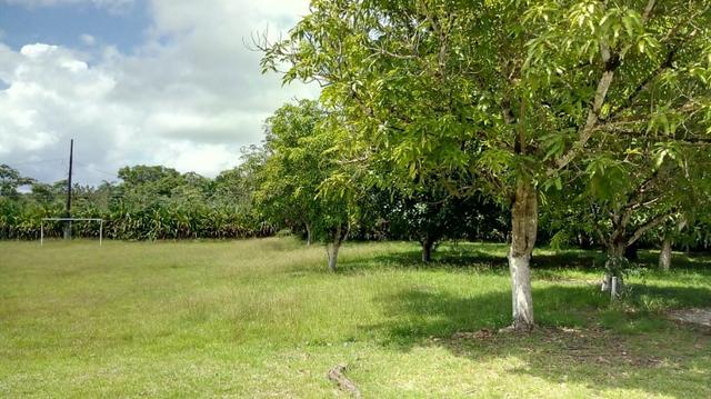 Belíssimo Sitio na Estrada de Mosqueiro, px a Barreira da Polícia - Foto 10