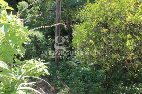 Terreno à venda em Cachoeira, Almirante tamandaré cod:258 - Foto 10