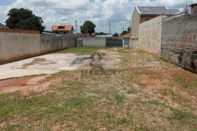 Terreno para alugar em Pinheirinho, Curitiba cod:21557001 - Foto 3