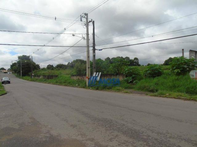 Terreno a venda são josé dos pinhais, bairro rio pequeno 2.446,74m2 - Foto 3