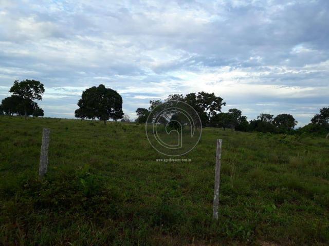 Fazenda 104 ha poconé mt - Foto 3