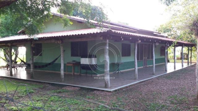 Fazenda 104 ha poconé mt