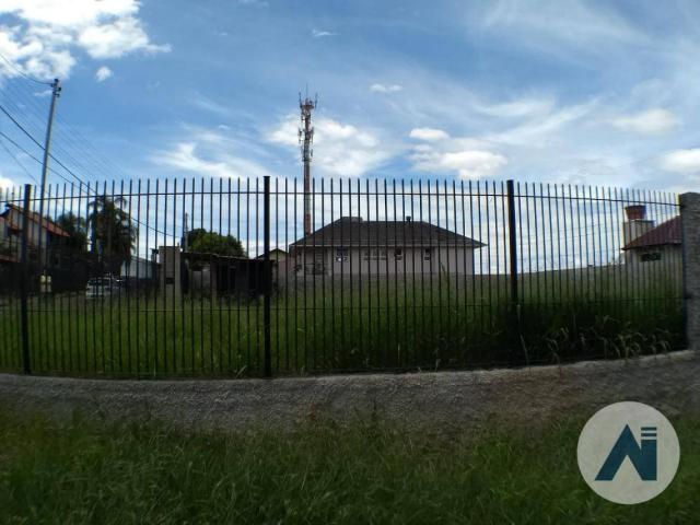 Terreno residencial à venda, rincao dos ilheus, estância velha. - Foto 3