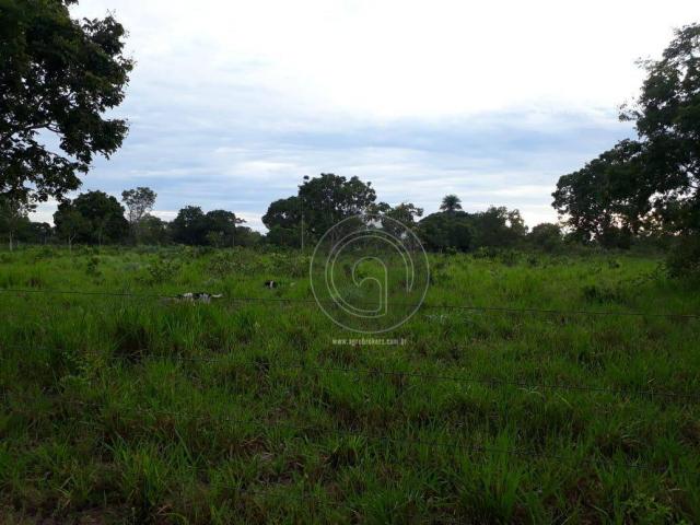 Fazenda 104 ha poconé mt - Foto 7