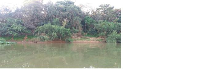 Chácara de Lazer e Pesqueiro de 2000 m2, Beira Cuiabá. Beira do rio Cuiabá, em barão do Me