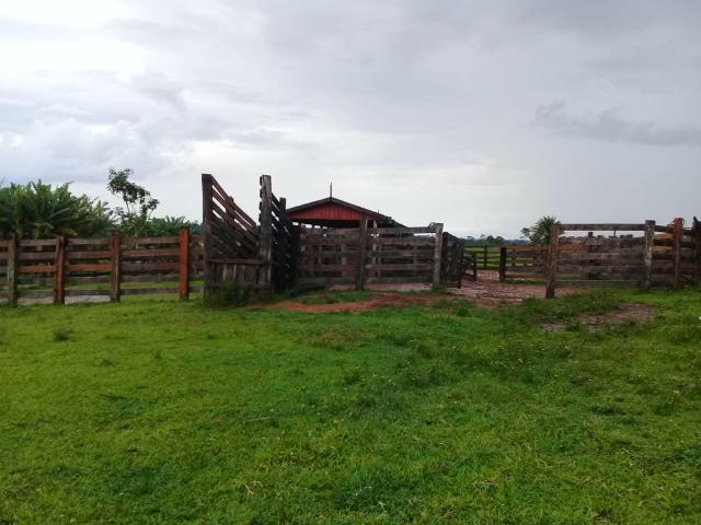 Vende-se fazenda - Foto 5