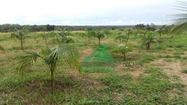 Vende-se Sitio na Pindoba - Foto 2