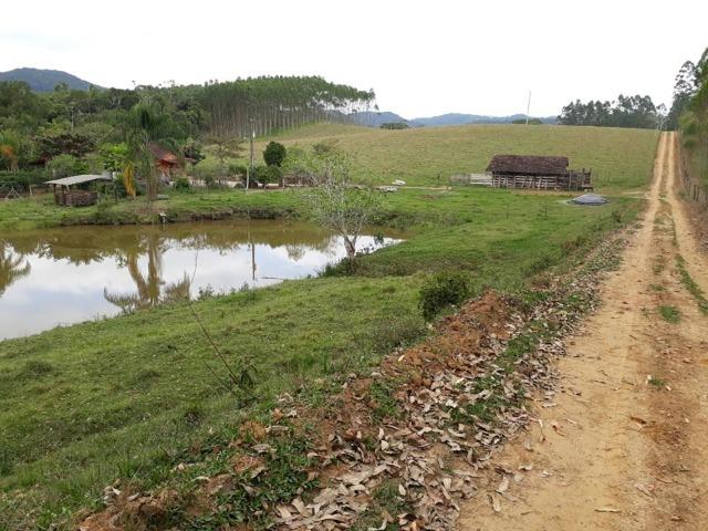Linda área com 10 hectares a venda em Tijucas SC!!! - Foto 6