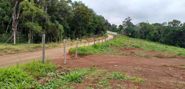 Chácaras e sítios em São José dos Pinhais - Foto 2