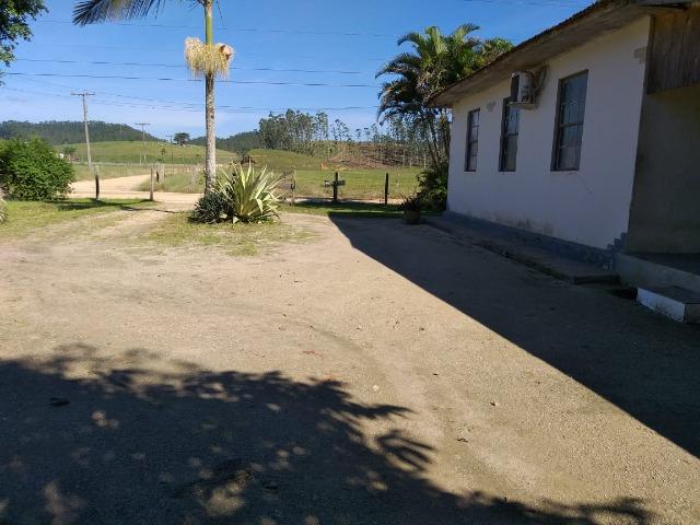Sítio a venda em Canelinha SC!!! - Foto 6