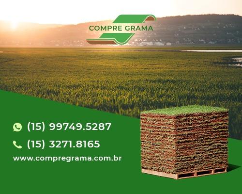 Grama Esmeralda A Partir De 1.000 M² - Foto 4