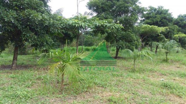 Vende-se Sitio na Pindoba - Foto 3