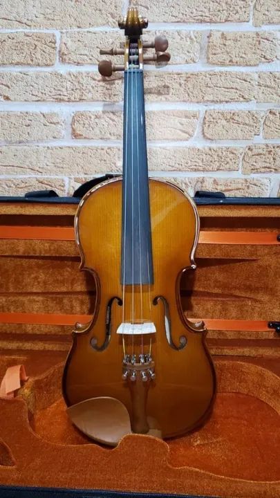 Violino Eagle 4/4 VE441 - Foto 3
