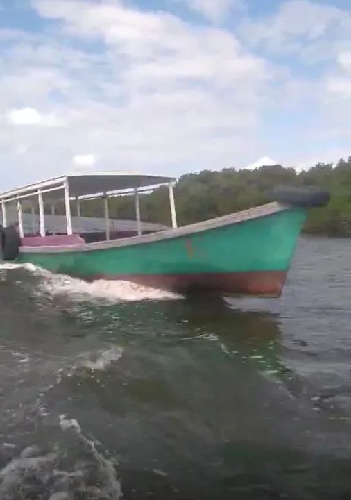 Canoa de fibra  - Foto 2