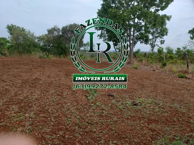 Fazenda 43 Alqueires Próximo a Palmas