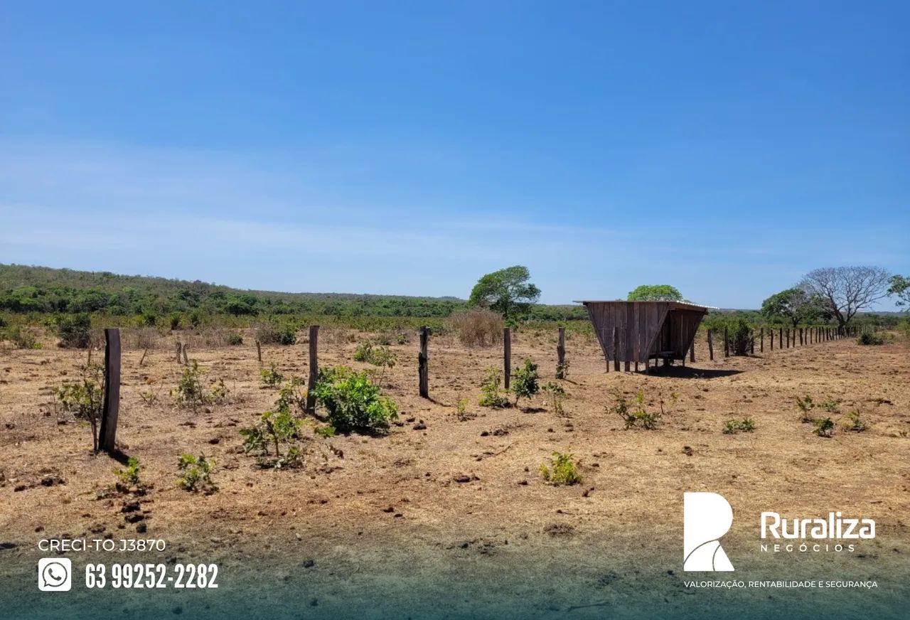 Fazenda de oportunidade às margens do asfalto com excelente aptidão agrícola - Foto 5