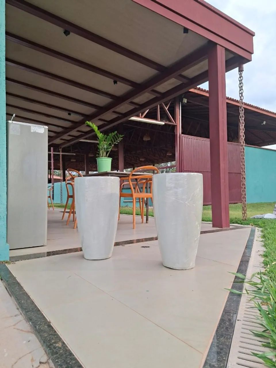 Vasos e plantas