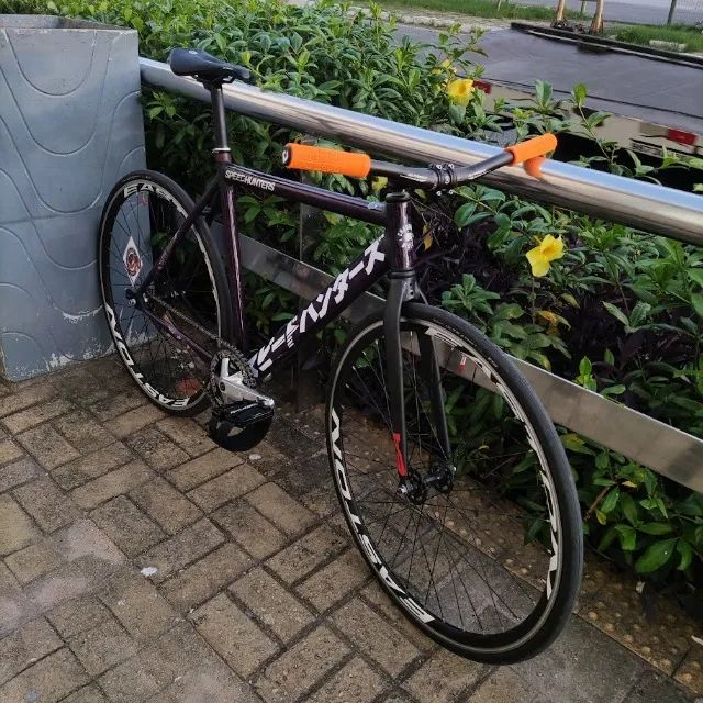 Bike Fixa Chandan TAM 54