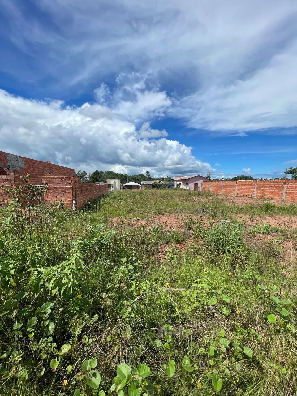 Repasse no Terra Nova Amapá - Foto 3