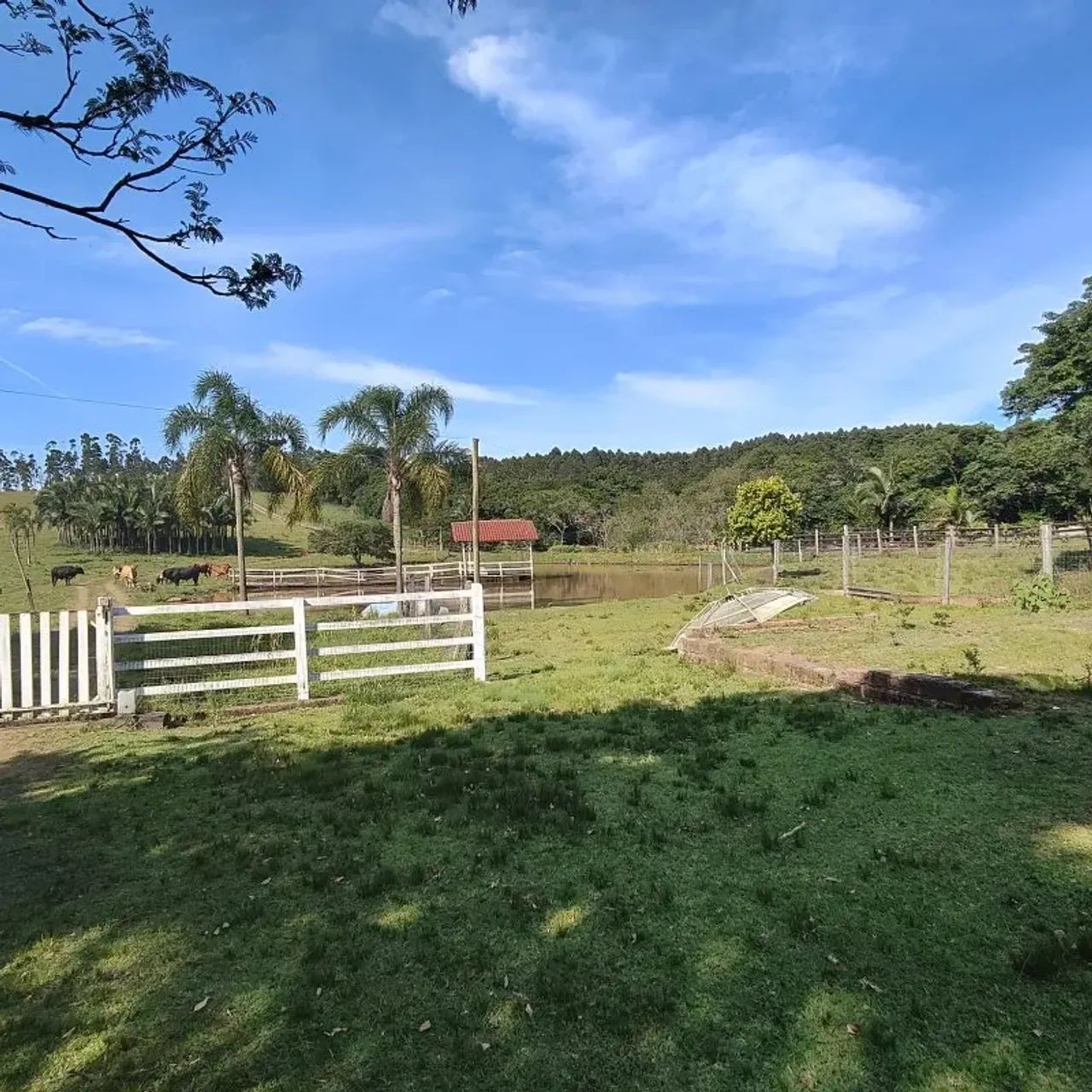 Linda chácara com 5 hectares, duas casas, dois galpões e açude. - Foto 4