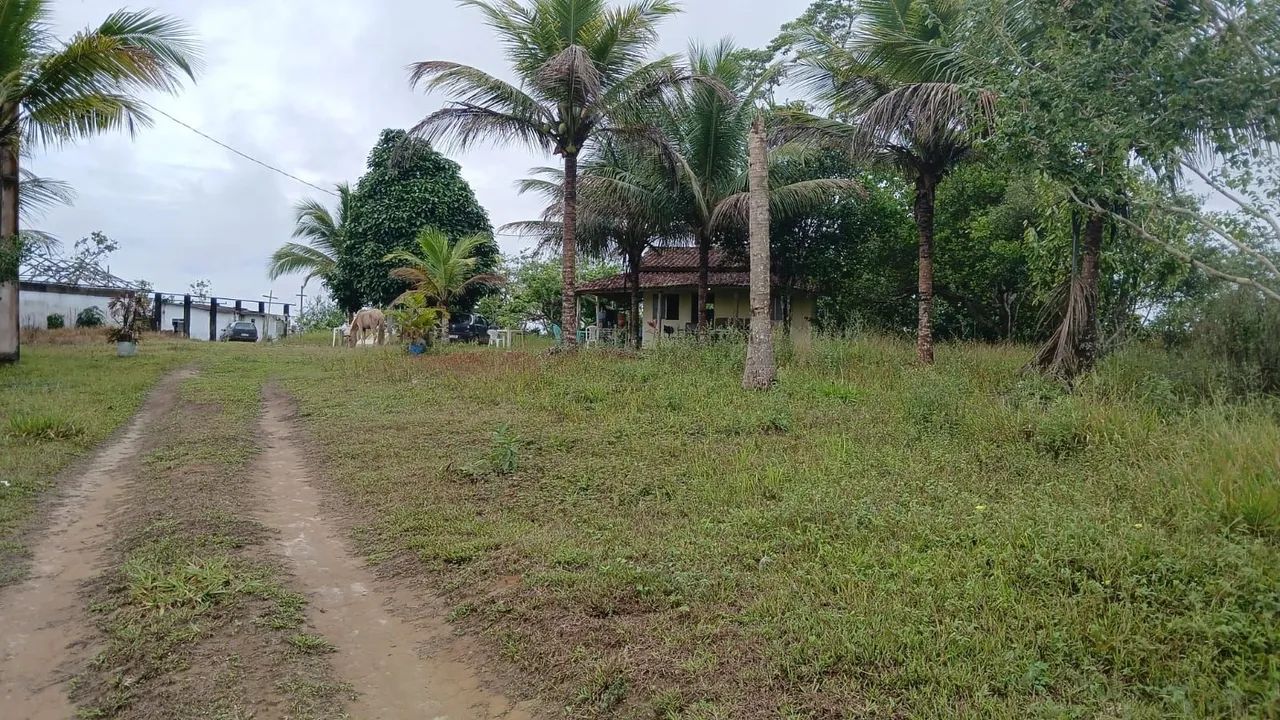 Vende-se Fazenda em Ilhéus-Ba  - Foto 2