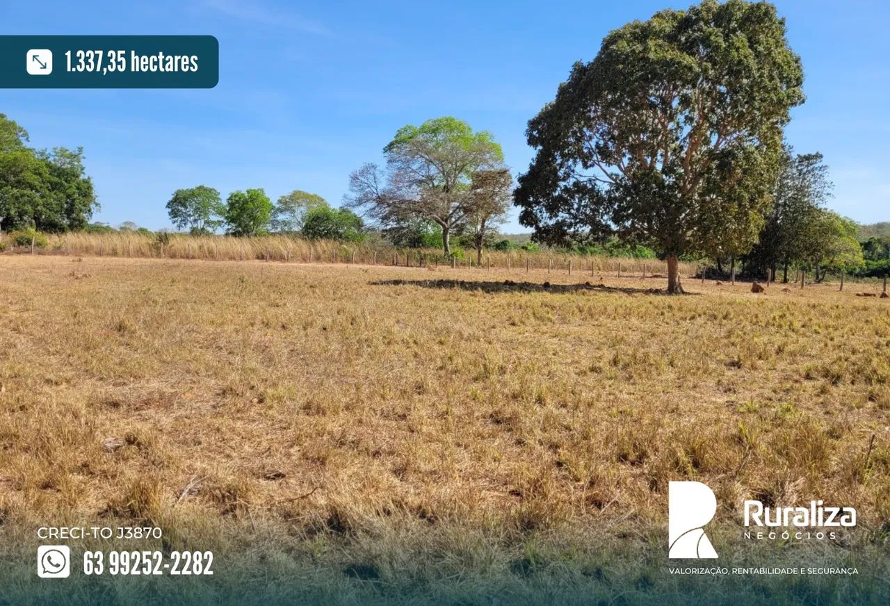 Fazenda de oportunidade às margens do asfalto com excelente aptidão agrícola