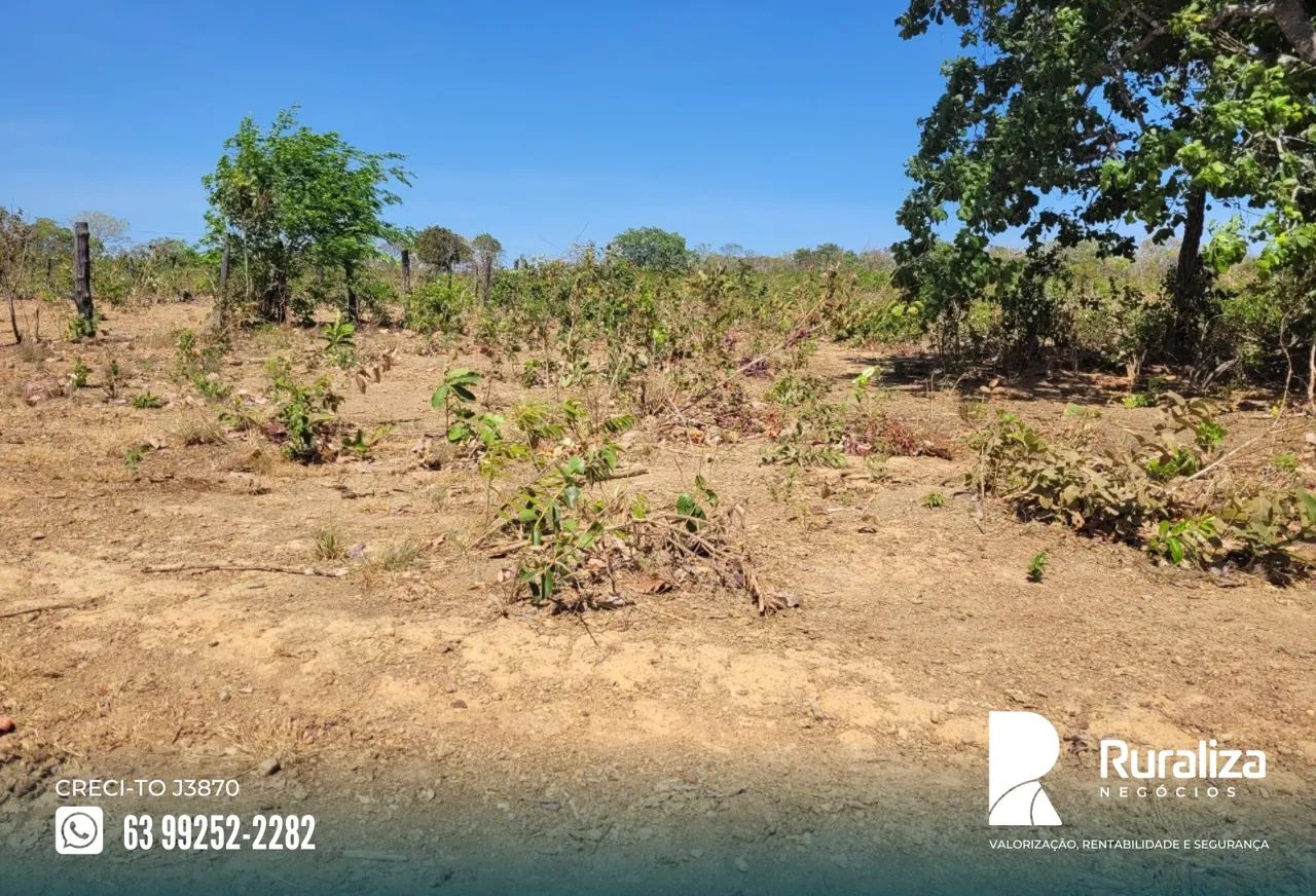 Fazenda de oportunidade às margens do asfalto com excelente aptidão agrícola - Foto 3