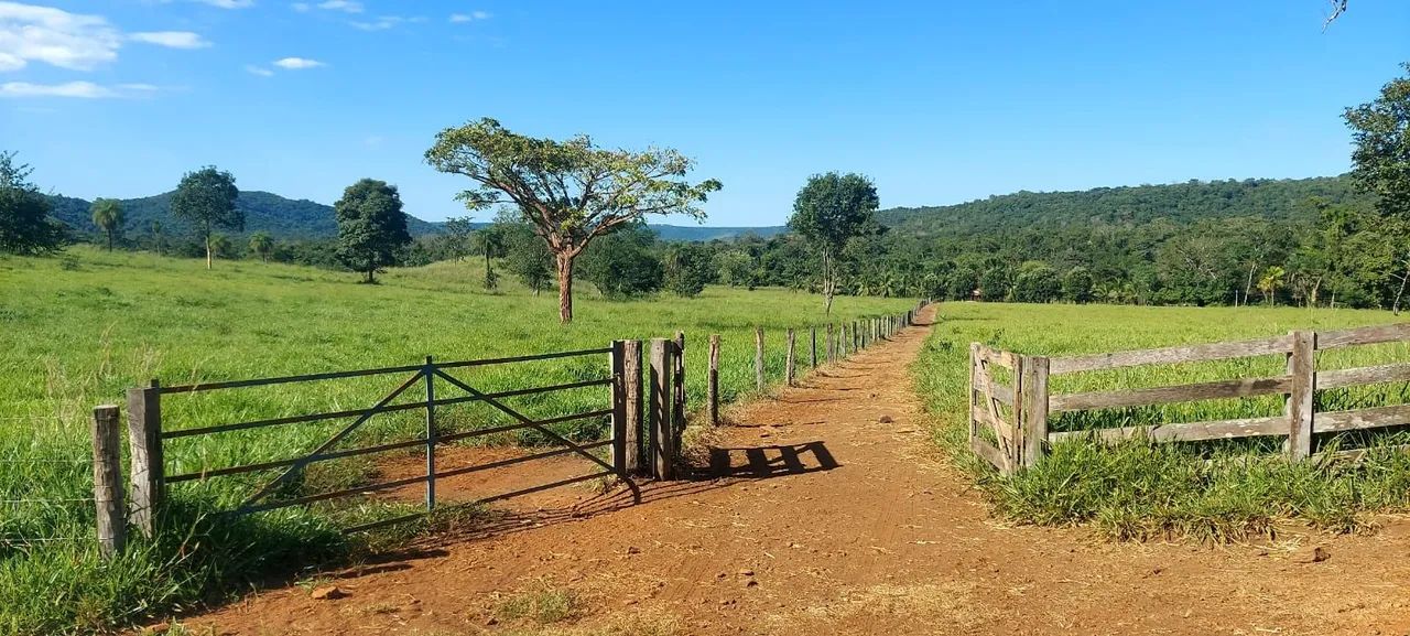 Fazenda entre Palmas to e Barrolândia to - Foto 4