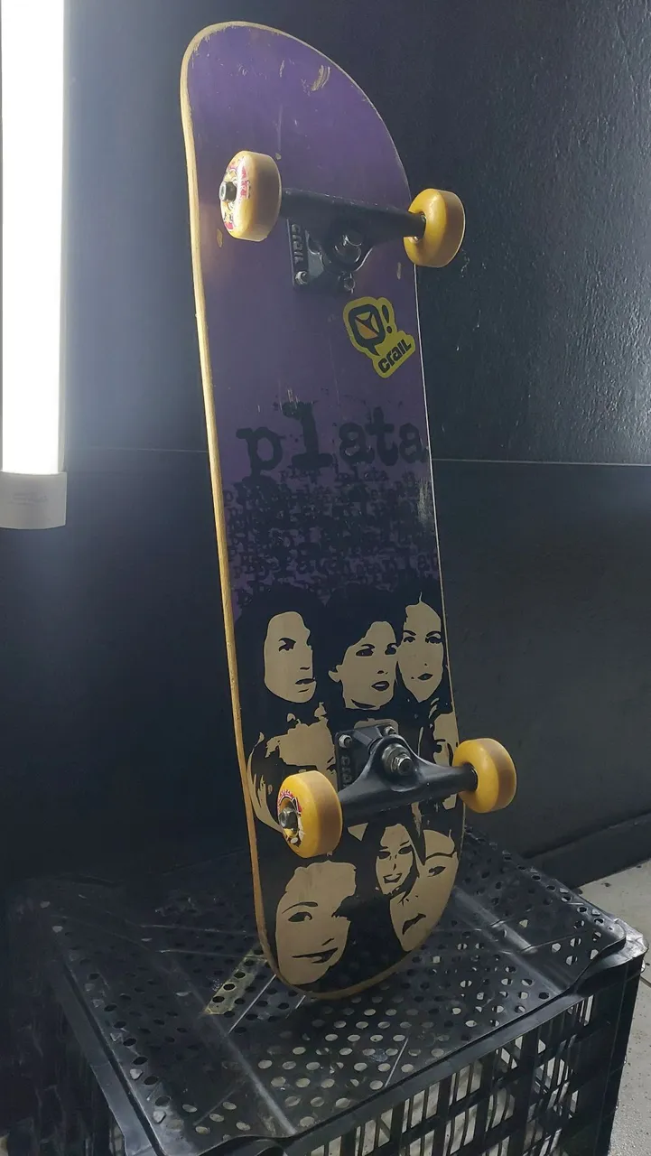 Skate Profissional Completo 