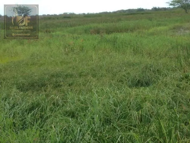 Fazenda com 25 hectares no vale de ceara mirim com o rio detro