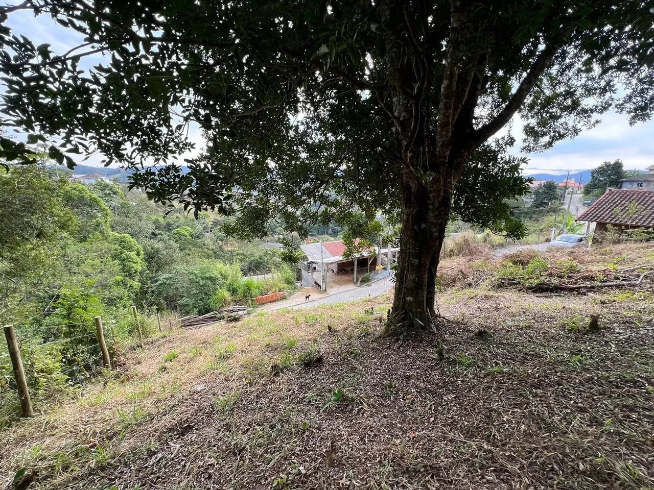 Terreno 600 metros quadrados morro Ventura santo Amaro da Imperatriz  - Foto 2
