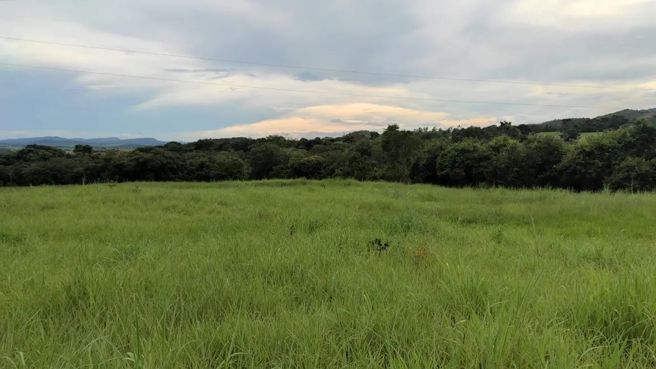 Sitio de 8 alq em Itapuranga-GO - Foto 2